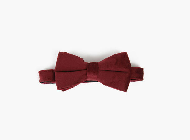 Montecristo Velvet bowtie in box 49 Burgundy 